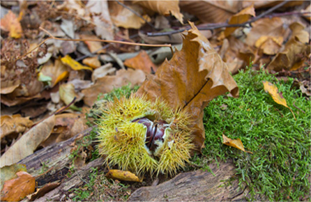 快速切换主题的cc攻击工具