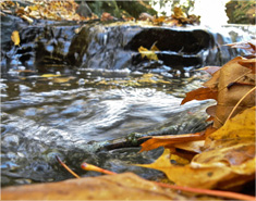 攻击网站服务器